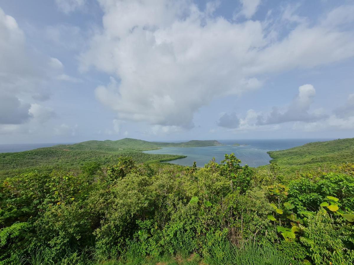 Studio Des Flots - Tartane Martinique Ла-Трините Экстерьер фото
