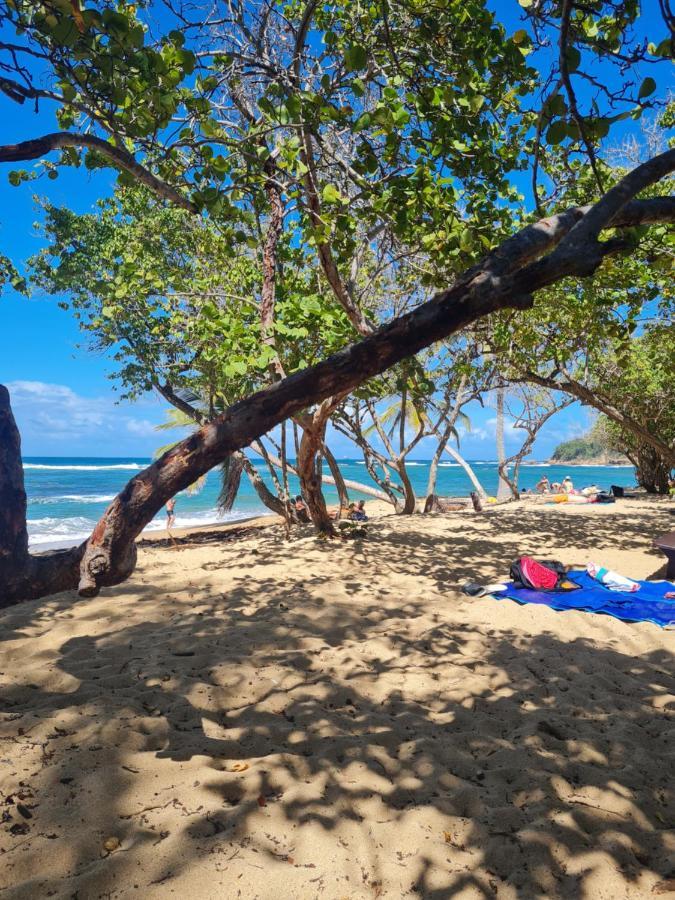 Studio Des Flots - Tartane Martinique Ла-Трините Экстерьер фото