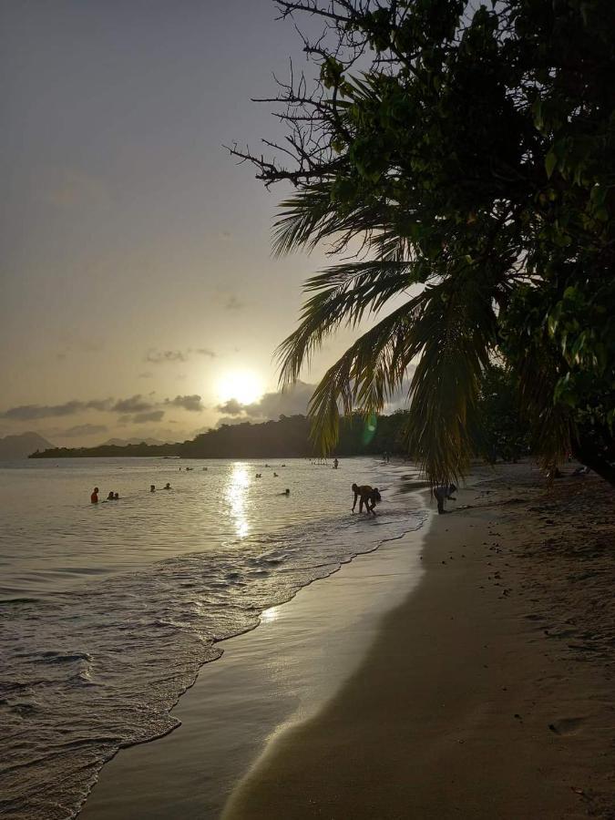 Studio Des Flots - Tartane Martinique Ла-Трините Экстерьер фото