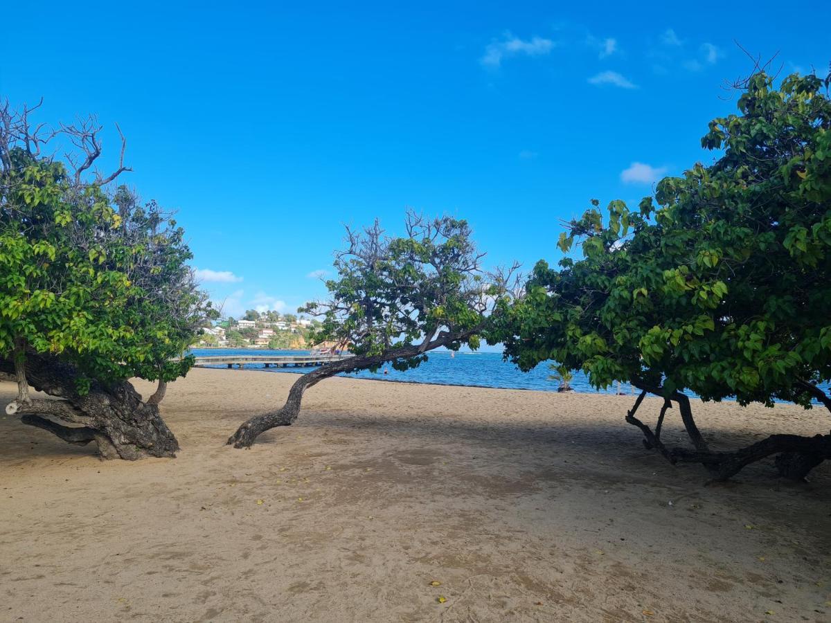 Studio Des Flots - Tartane Martinique Ла-Трините Экстерьер фото