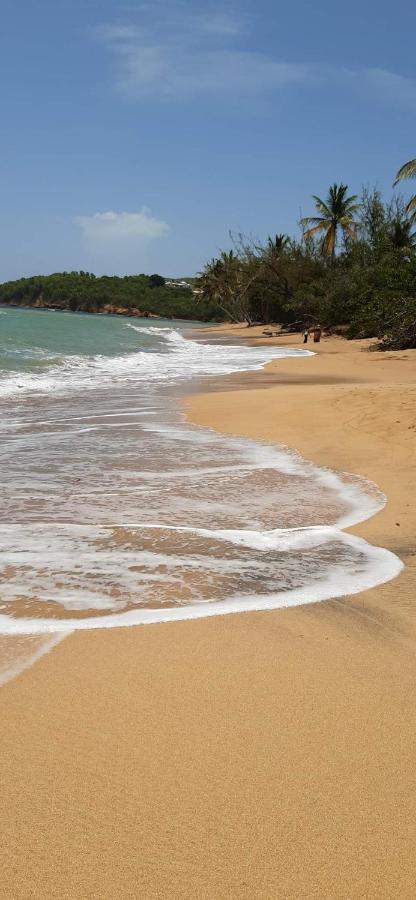 Studio Des Flots - Tartane Martinique Ла-Трините Экстерьер фото
