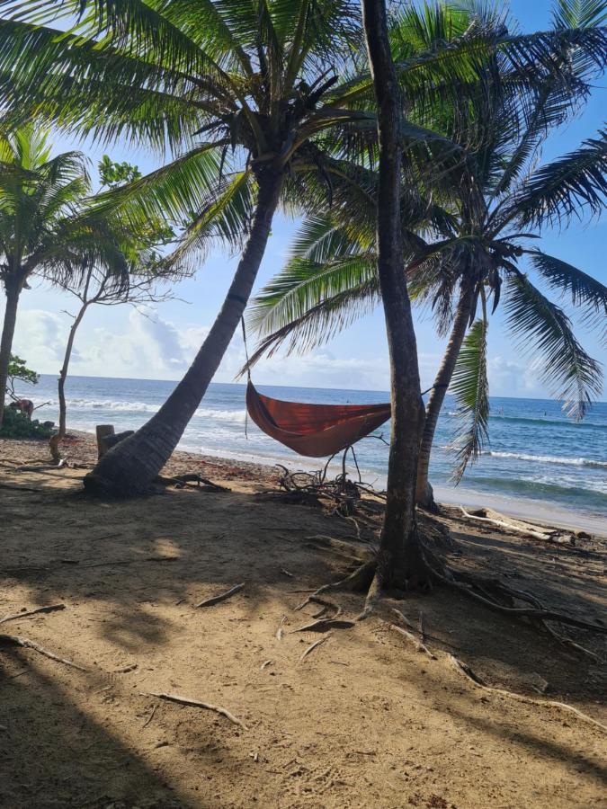 Studio Des Flots - Tartane Martinique Ла-Трините Экстерьер фото