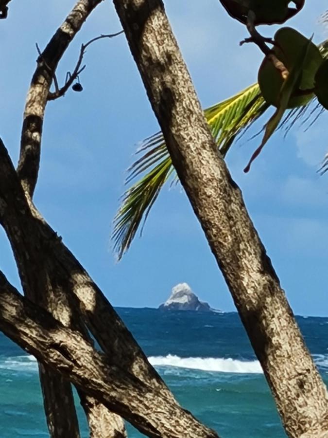 Studio Des Flots - Tartane Martinique Ла-Трините Экстерьер фото