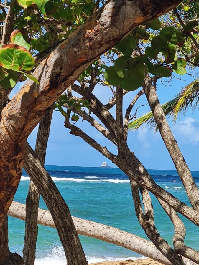 Studio Des Flots - Tartane Martinique Ла-Трините Экстерьер фото